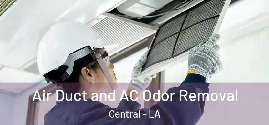 Air Duct and AC Odor Removal Central - LA