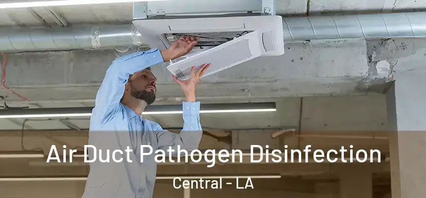  Air Duct Pathogen Disinfection Central - LA