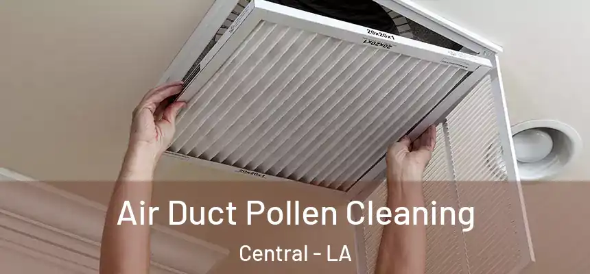 Air Duct Pollen Cleaning Central - LA