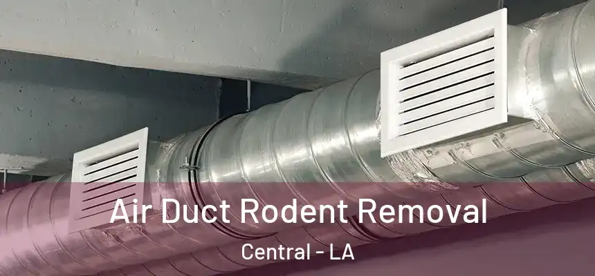  Air Duct Rodent Removal Central - LA