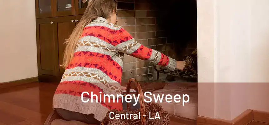 Chimney Sweep Central - LA