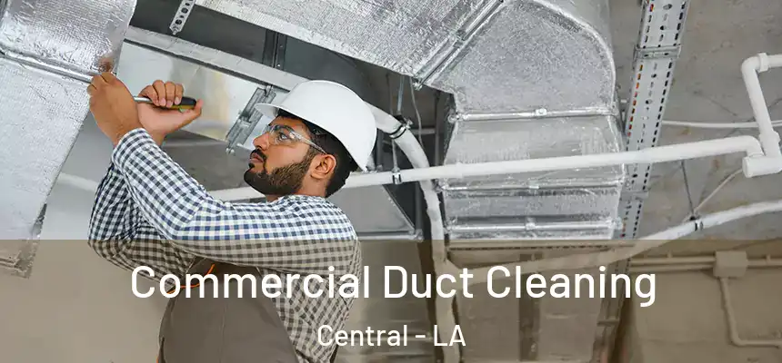  Commercial Duct Cleaning Central - LA