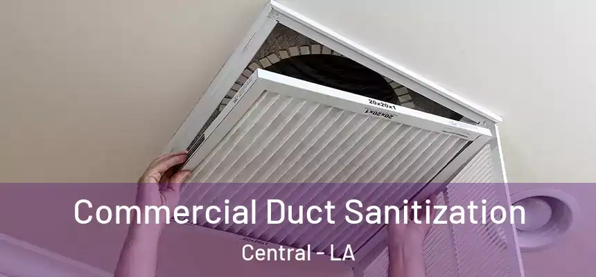  Commercial Duct Sanitization Central - LA
