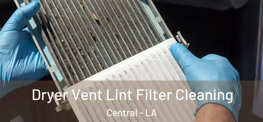  Dryer Vent Lint Filter Cleaning Central - LA