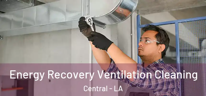  Energy Recovery Ventilation Cleaning Central - LA