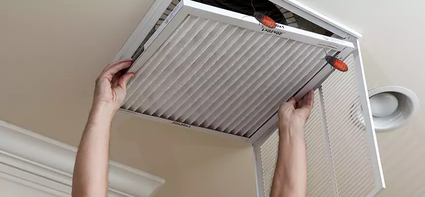 Preventive Cockroach-Proofing for Ducts in Central