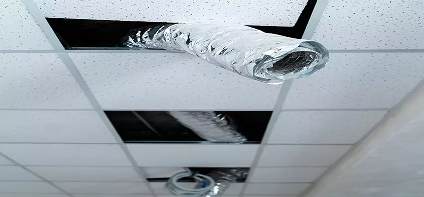 Our Air Duct Pet Hair Removal Services in Central, LA