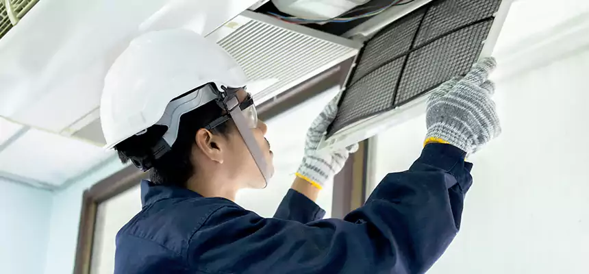 Our Mold & Mildew Removal from Air Ducts Services in Central, LA