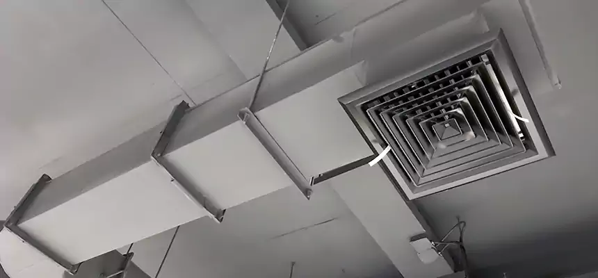 Our Pest Removal From Ducts Services in Central, LA