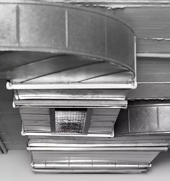 Professional Air Duct Pest Removal in Central, LA