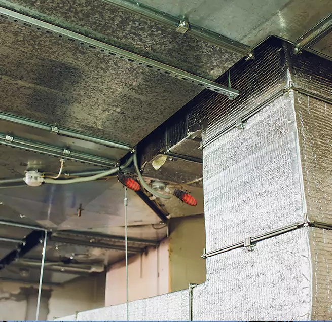 Why Homeowners & Businesses Trust Us in Central, LA?