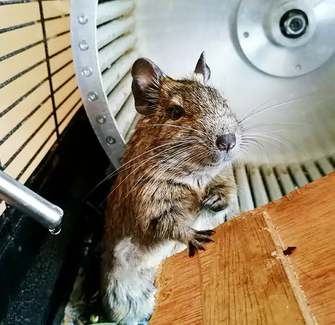 Why Homeowners & Businesses Trust Us Central, LA