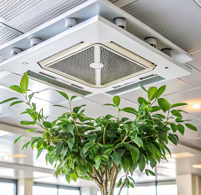 Why Homeowners & Businesses Trust Us in Central, LA?